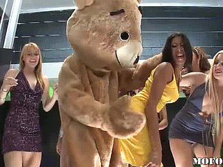 Dancing Bear baise Latina Kayla Carrera en fête de bachelorette chaude