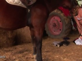 Effie menyenangkan dirinya untuk kuda
